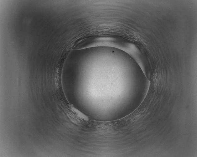 X0000075360868200609081213