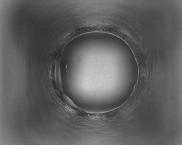 X0000075360869200609081213