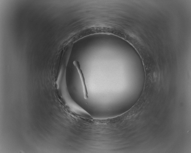 X0000075360870200609081213