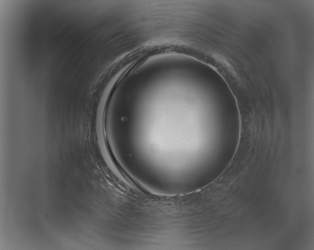 X0000075360872200609081213