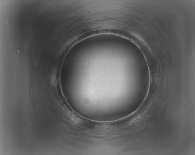 X0000075360873200609081213