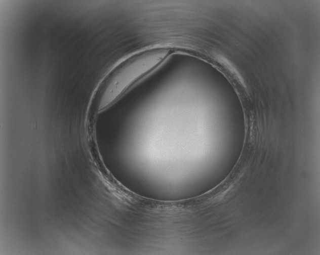 X0000075360876200609081213