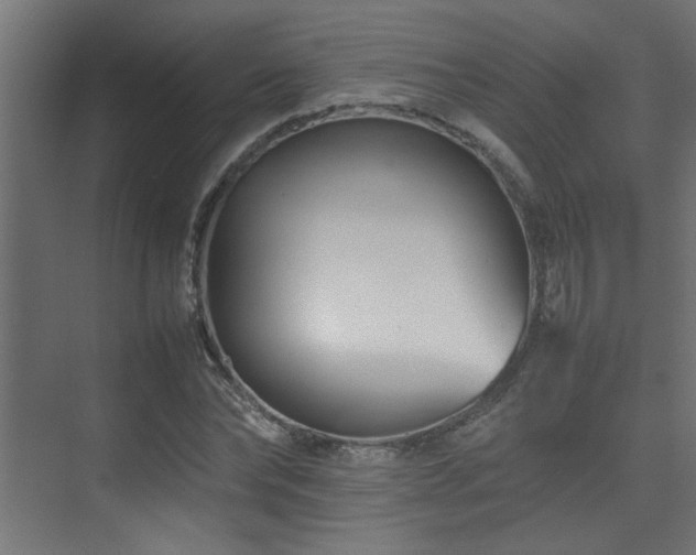 X0000075360878200609081213