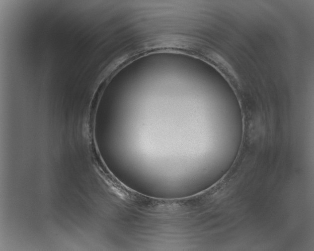 X0000075360882200609081212