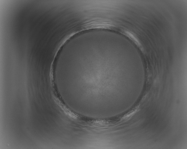 X0000075360883200609081212