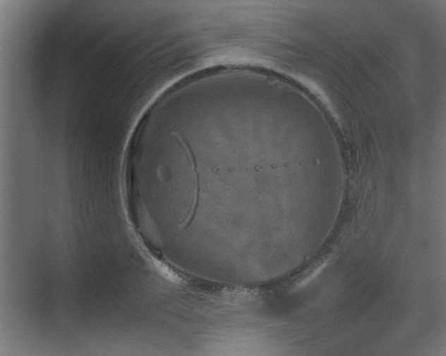 X0000075360887200609081212