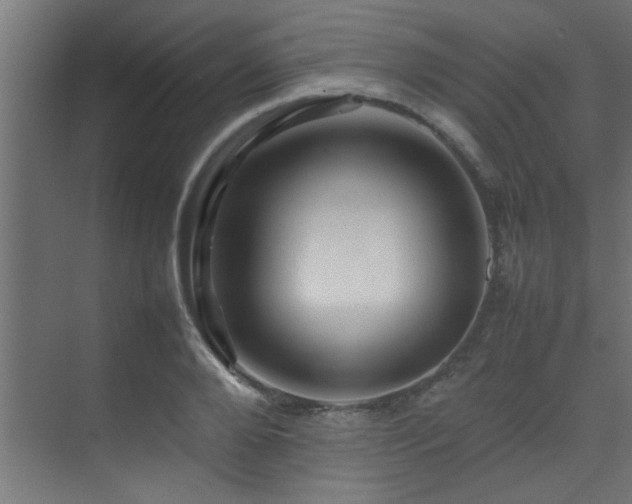 X0000075360888200609081212