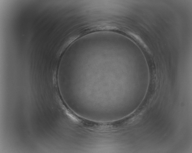 X0000075360889200609081212