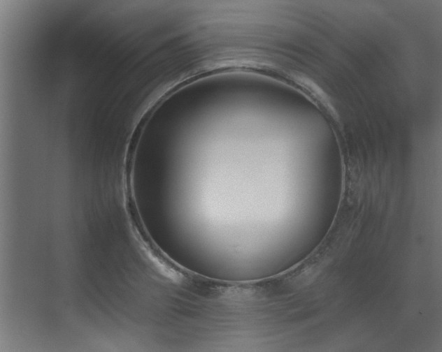 X0000075360890200609081212