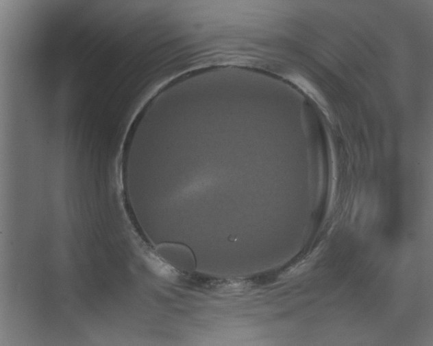 X0000075360891200609081212