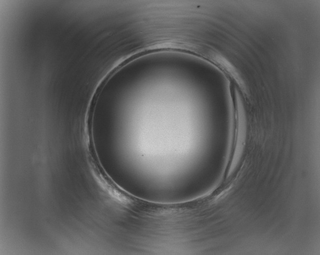 X0000075360892200609081212