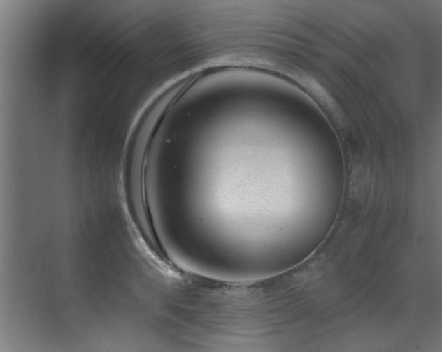 X0000075360896200609081212