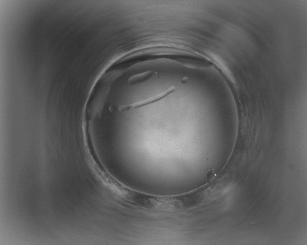 X0000075360899200609081212