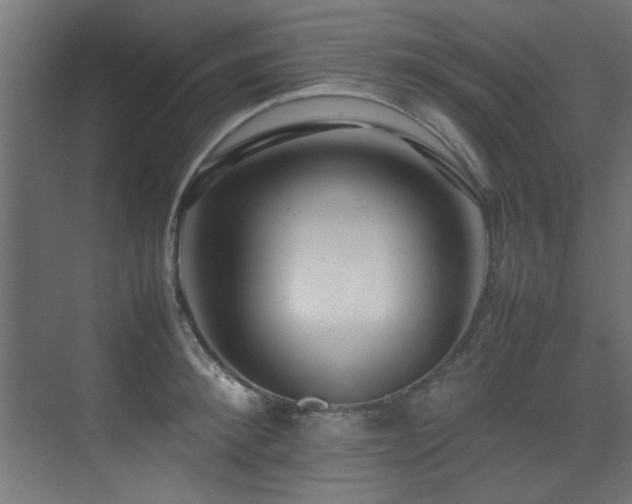 X0000075360900200609081212