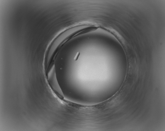 X0000075360902200609081212