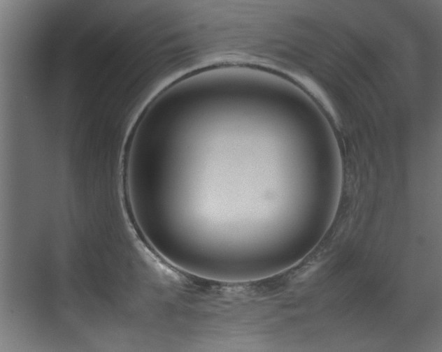 X0000075360903200609081212