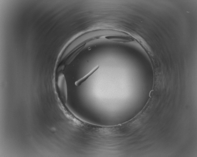 X0000075360904200609081212