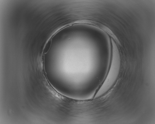 X0000075360908200609081212