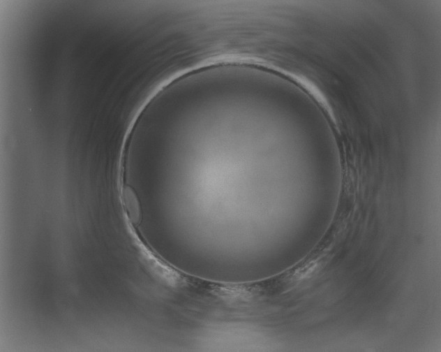 X0000075360911200609081212