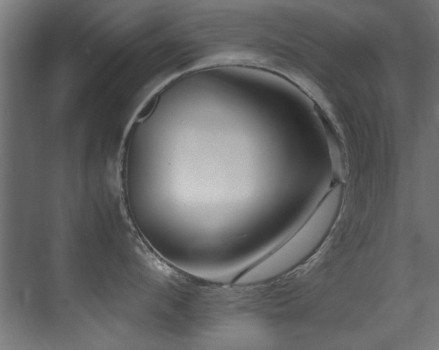 X0000075360912200609081212