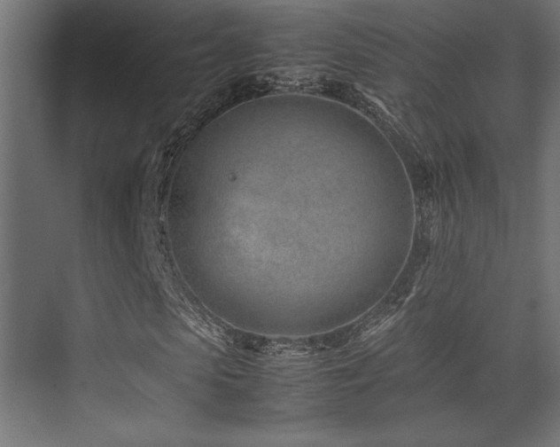 X0000075360913200609081211