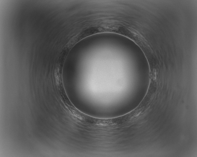 X0000075360915200609081211