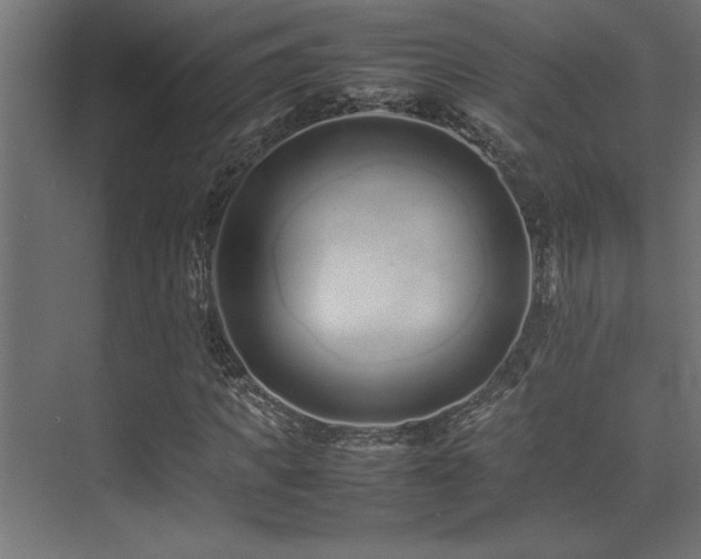 X0000075360917200609081211