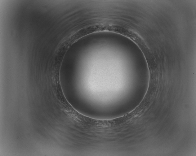 X0000075360919200609081211