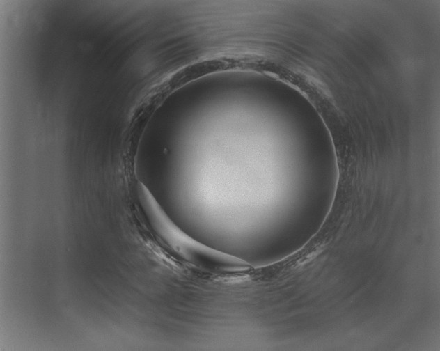 X0000075360920200609081211