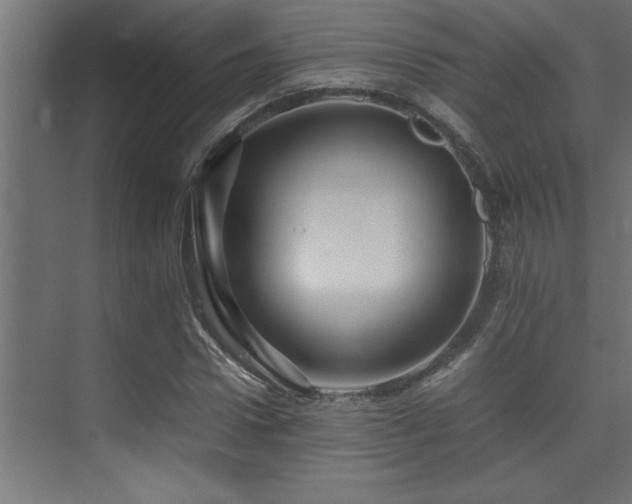 X0000075360922200609081211