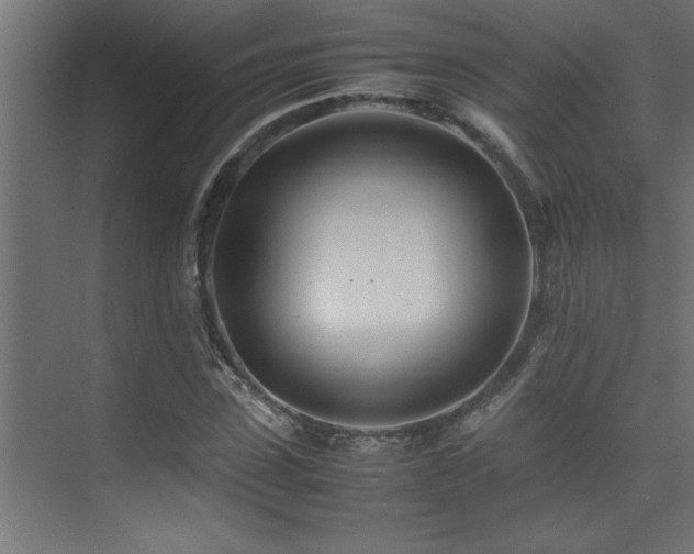 X0000075360923200609081211