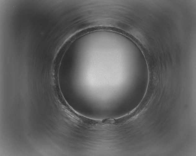 X0000075360926200609081211