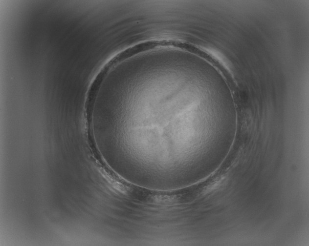 X0000075360927200609081211