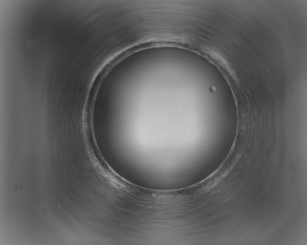 X0000075360928200609081211