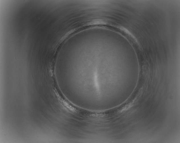 X0000075360929200609081211