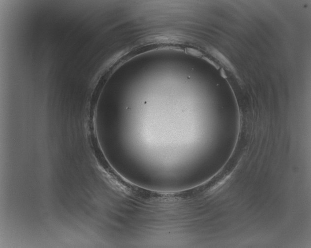 X0000075360930200609081211