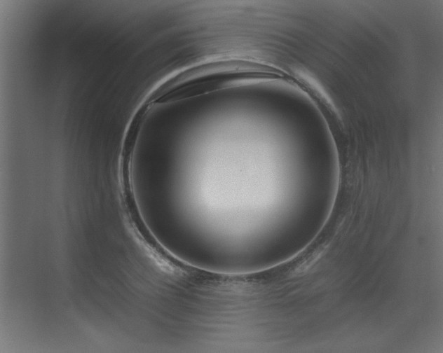 X0000075360932200609081211