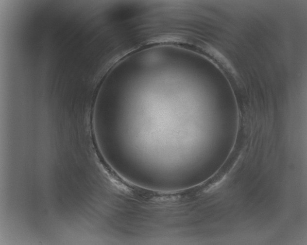 X0000075360937200609081212