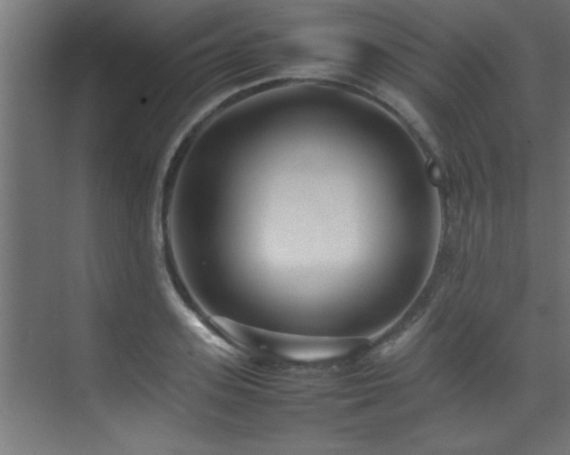 X0000075360939200609081212