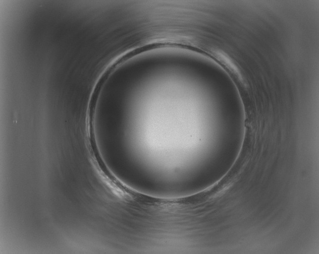 X0000075360940200609081212