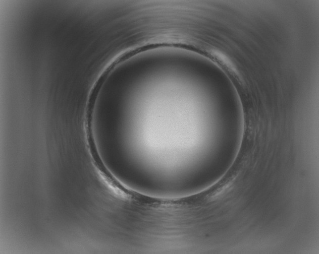 X0000075360942200609081212