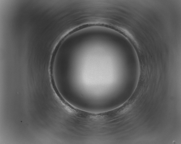 X0000075360943200609081212