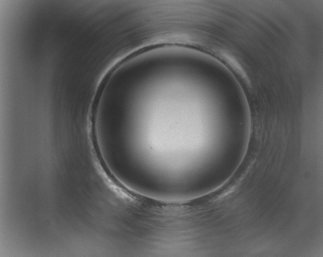 X0000075360944200609081212