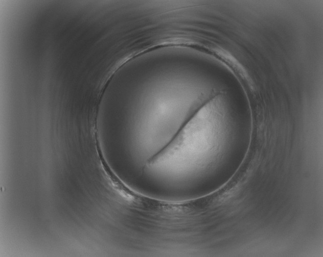 X0000075360945200609081212