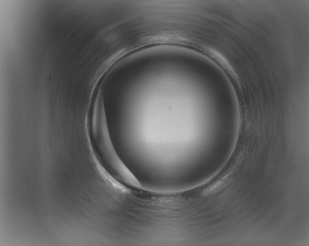 X0000075360946200609081212