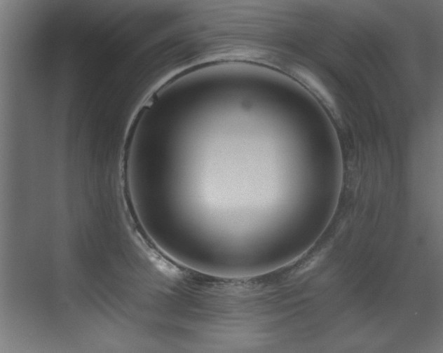 X0000075360948200609081212