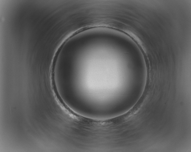 X0000075360949200609081212