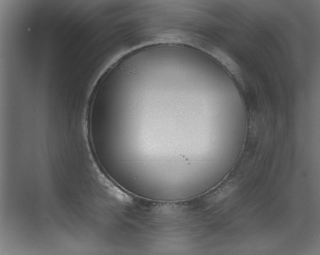 X0000075360950200609081212