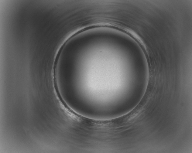 X0000075360951200609081212