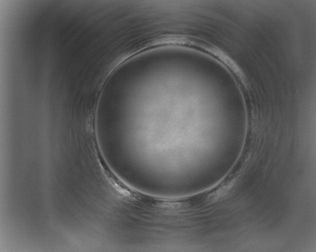 X0000075360953200609081212